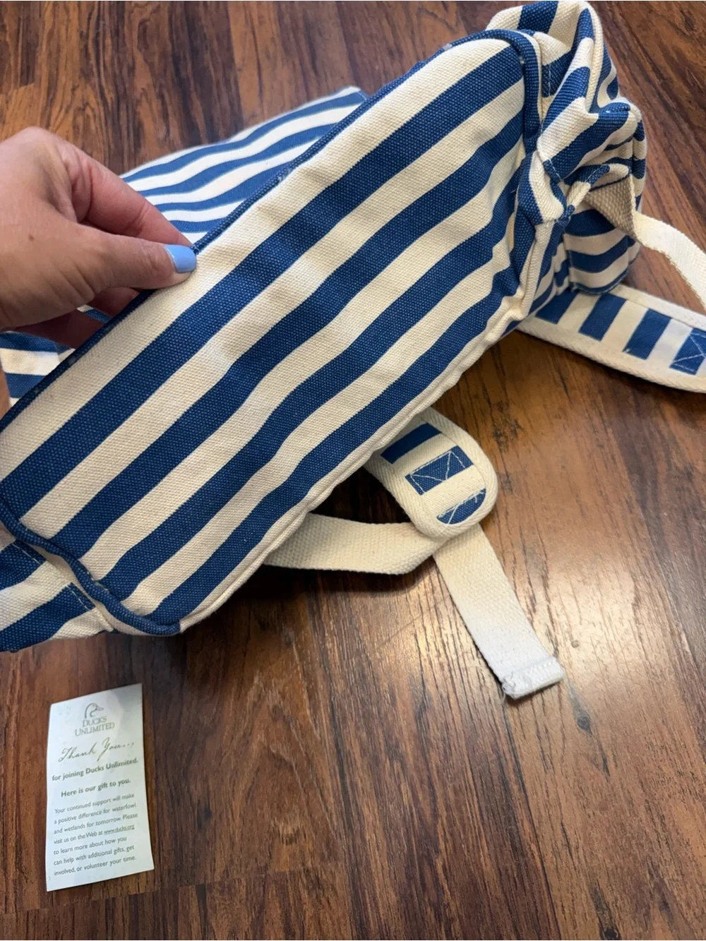 Canvas Striped Blue and Cream Backpack